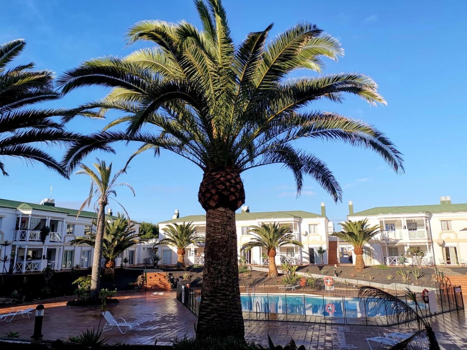 Apartmán Piccola Oasi Corralejo Pokoj fotografie